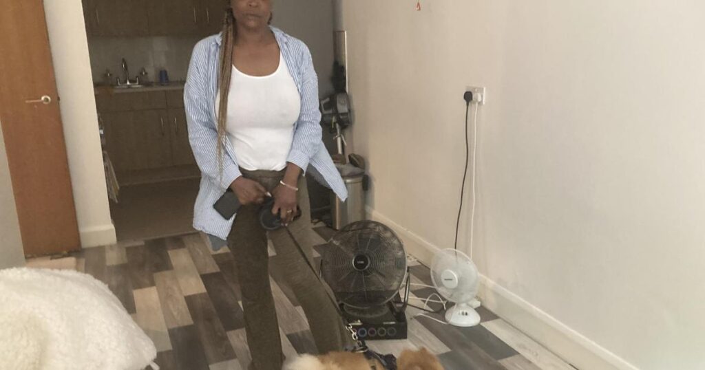 Disabled woman urges Haringey Council action on her ‘boiling’ flat