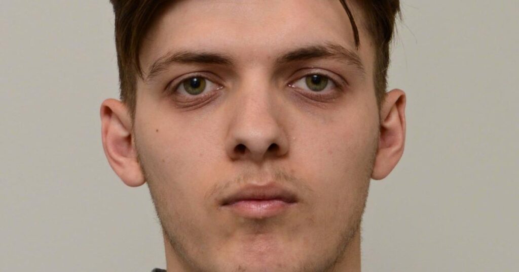 Leyton arson attacks on Ukraine supplies led by Croydon man