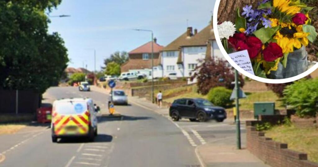 Bexley Hurst Road fatal crash: Police give update on woman