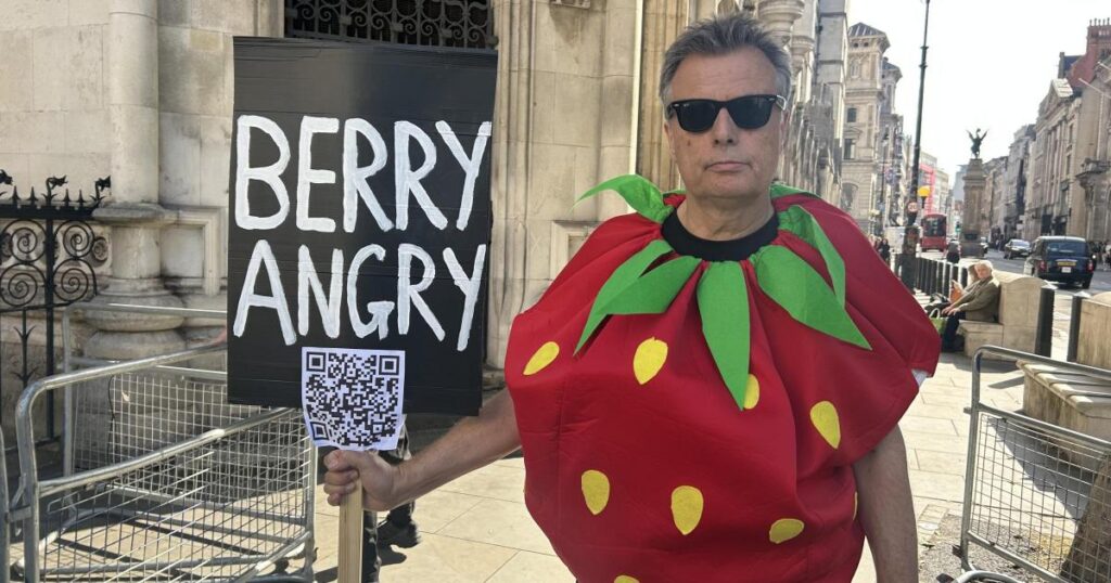 Wimbledon expansion judicial review and rally campaign