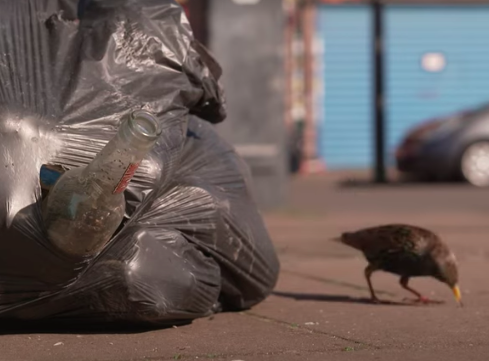 Birmingham bin workers vote to stay on strike into 2026