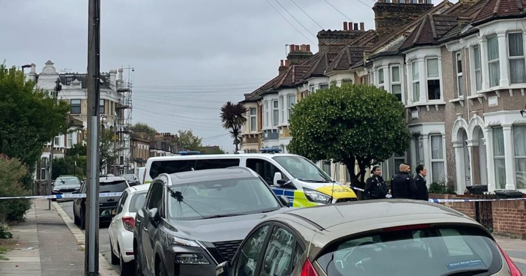 Catford Mountsfield Park stabbing: Victim treatment update