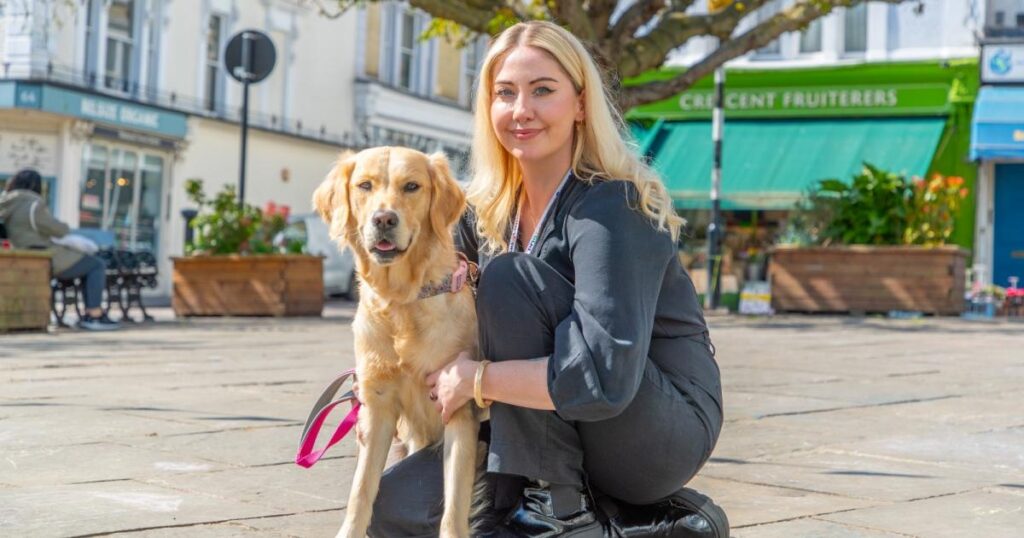 How to help your pet during fireworks and Bonfire Night