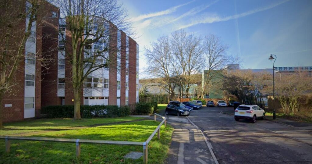 Ealing Riverside Close Vivienne Baraka murder: Man charged