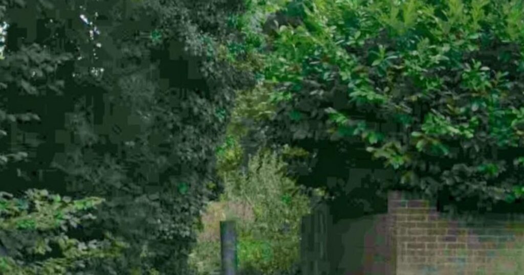 Brooke Wiggins death inquest hearing set for Spring