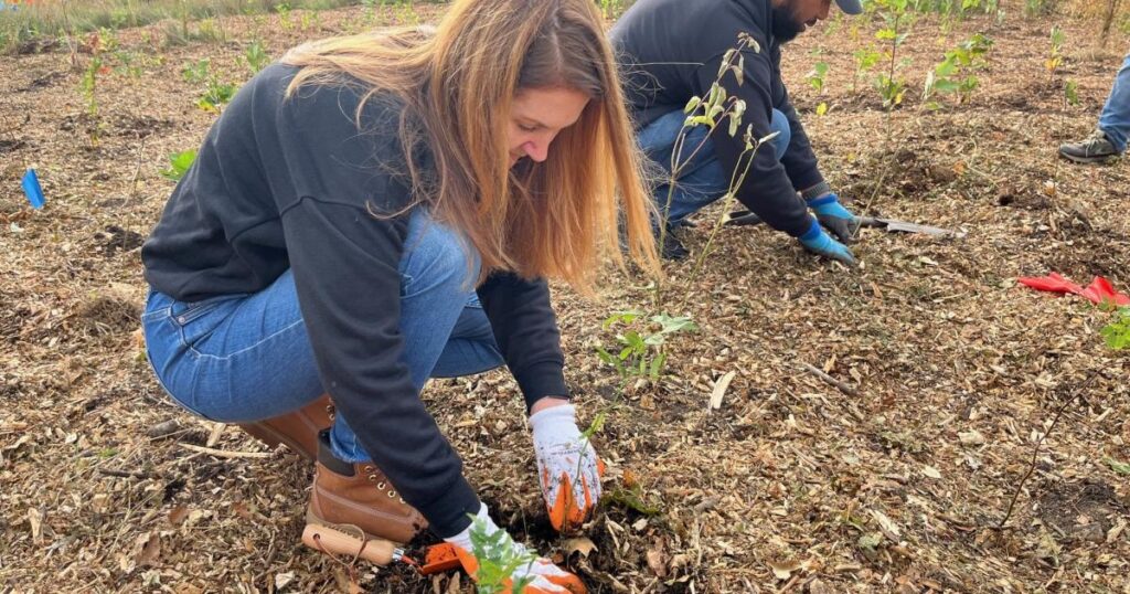 12,000 trees and shrubs for new forest in Dagenham