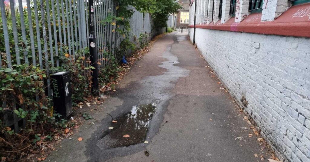Norwood Junction alleyway sewage leak smells so ‘putrid’