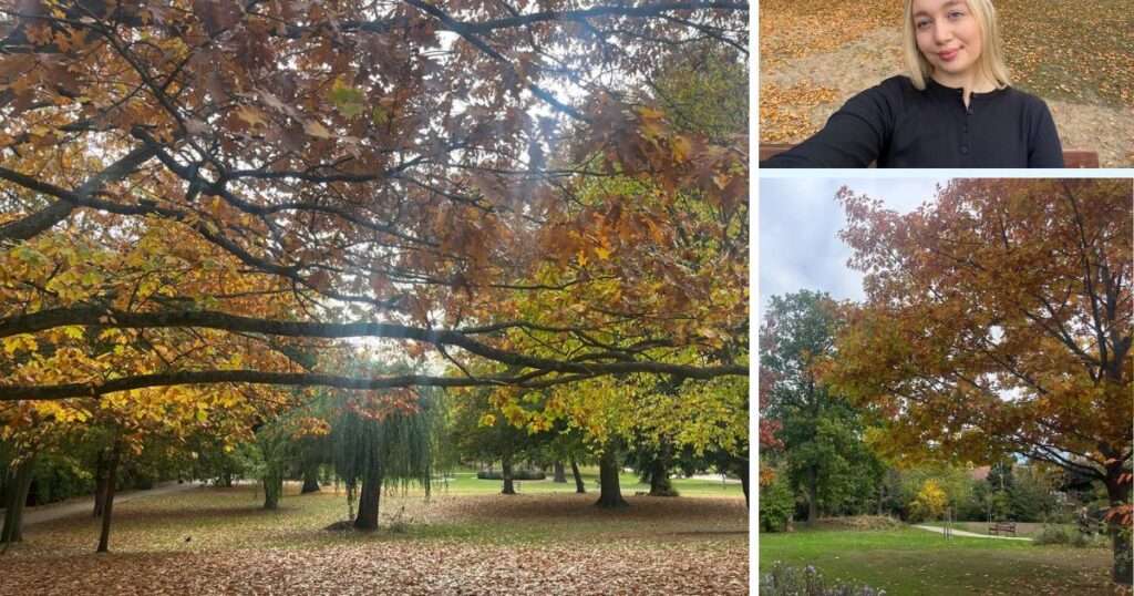 Raphael Park, Romford autumn walk: ‘A picture-perfect setting’