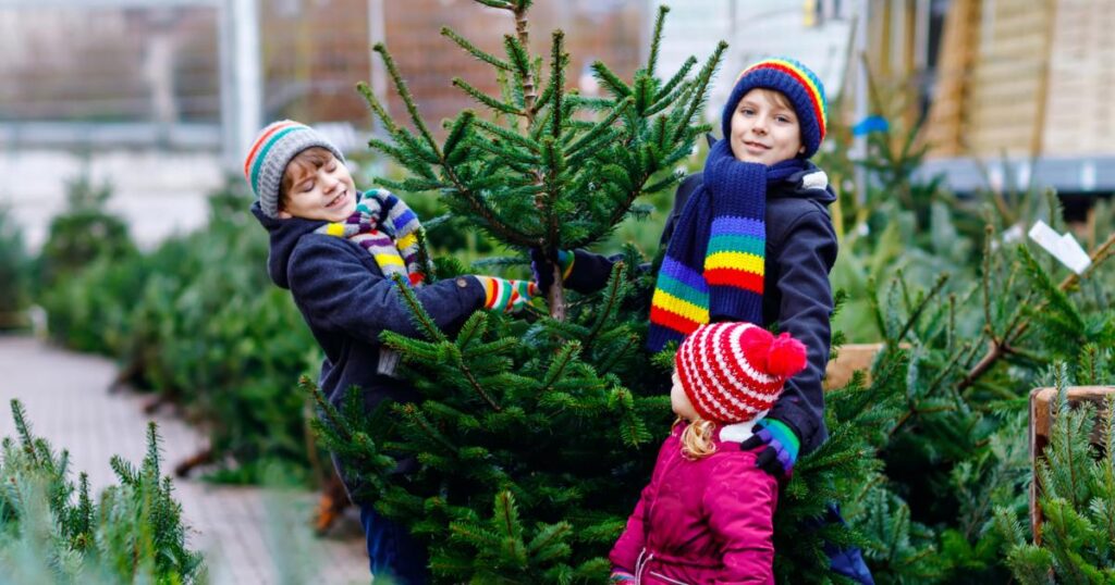 Bromley FC Christmas tree scheme to support good causes