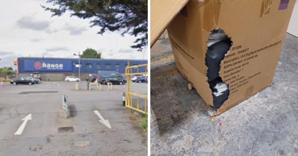 The Range in Enfield fined £250,000 after rat infestation