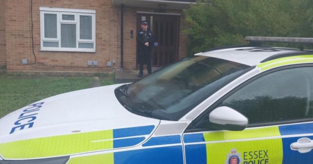 Norman Crescent Brentwood death: Teenager named for first time