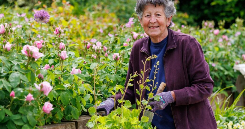 St Luke’s hospice wins Gold at London Gardens awards