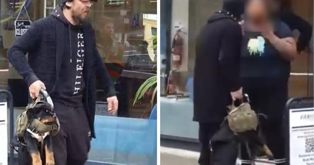 Man jailed for abusing puppy and racial abuse in Harrow