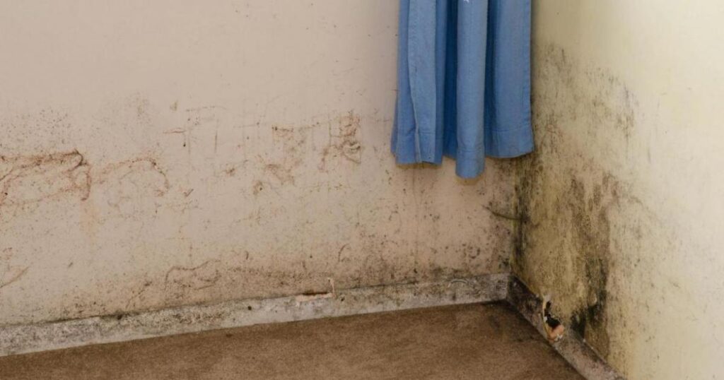 Lewisham Council family with 5 kids in 2-bed mouldy flat