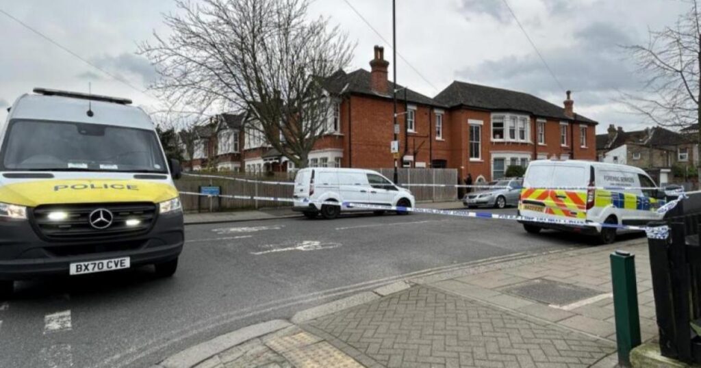 Hither Green murder trial: US student evidence continued