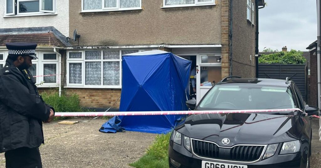 Hornchurch XL bully dog attack: Inquest into death of Angeline Mahal