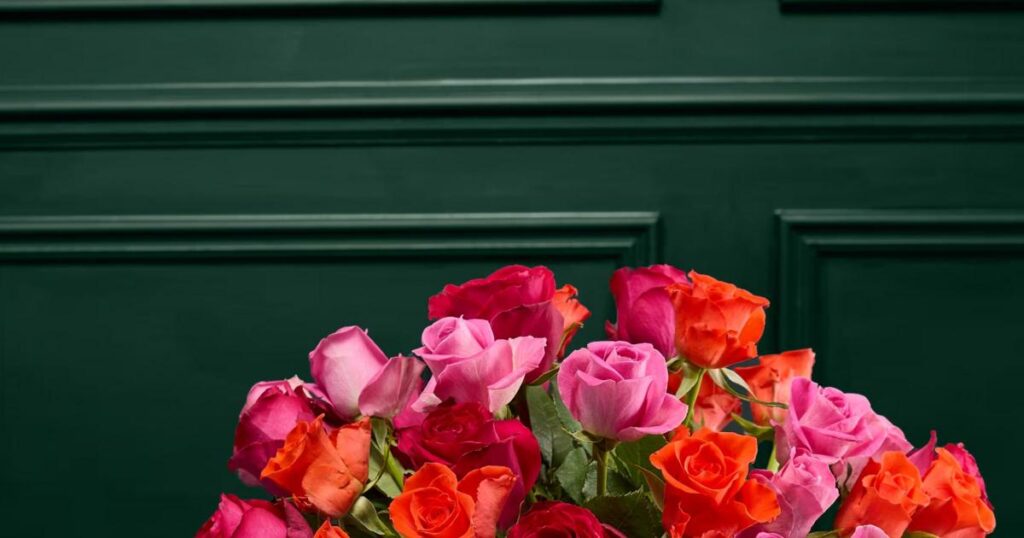 OFFER EXTENDED – get 20% off M&S flowers and plants