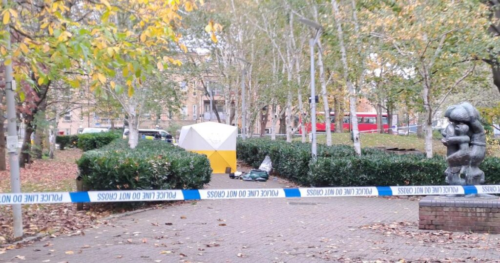 Elthorne Park Islington stabbing: Person rushed to hospital