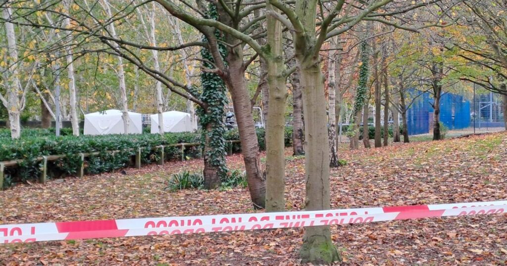 Elthorne Park Islington stabbing: Woman in hospital