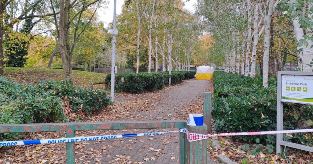Elthorne Park Islington stabbing: Pictures from the scene