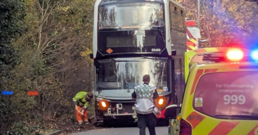 Bromley Road Chislehurst bus crash: Passenger experience
