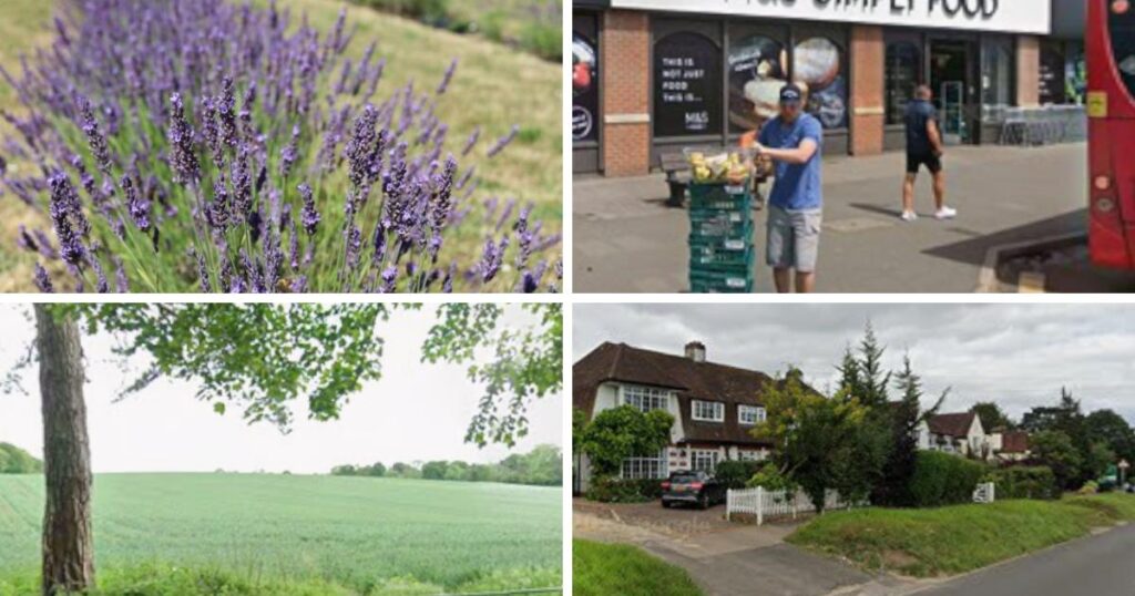 Banstead named one of the most ‘desirable’ areas to live