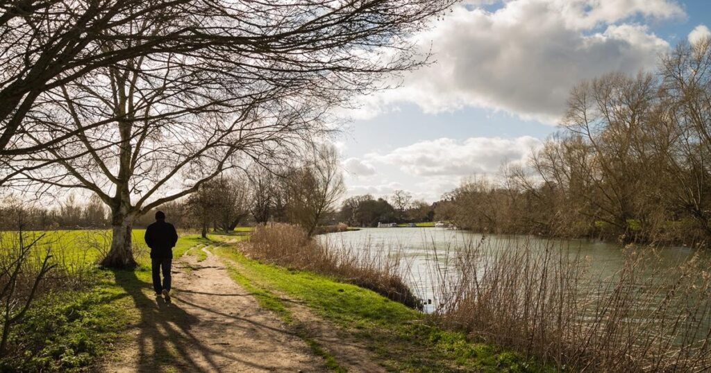 The 3 best walks along the River Thames you can enjoy
