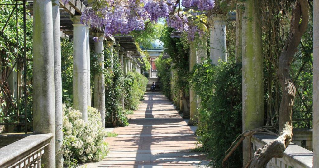 Hill Garden Pergola in Hampstead put on at risk register