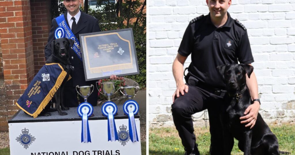 Pentonville dog and handler win HMPPS Dog Trial Finals
