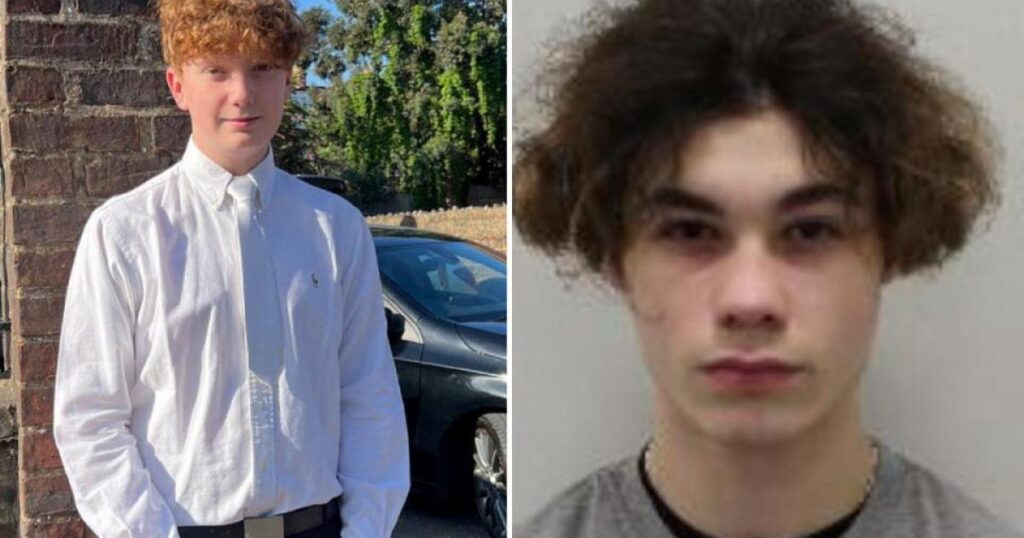 Harry Pitman murder: Killer detained for minimum 16 years