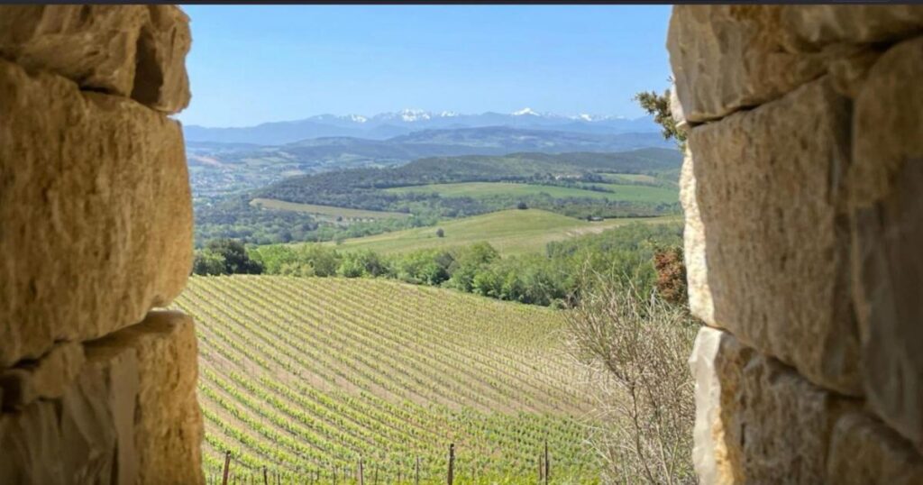 Bubbles for birthdays: luxury crémant and English examples