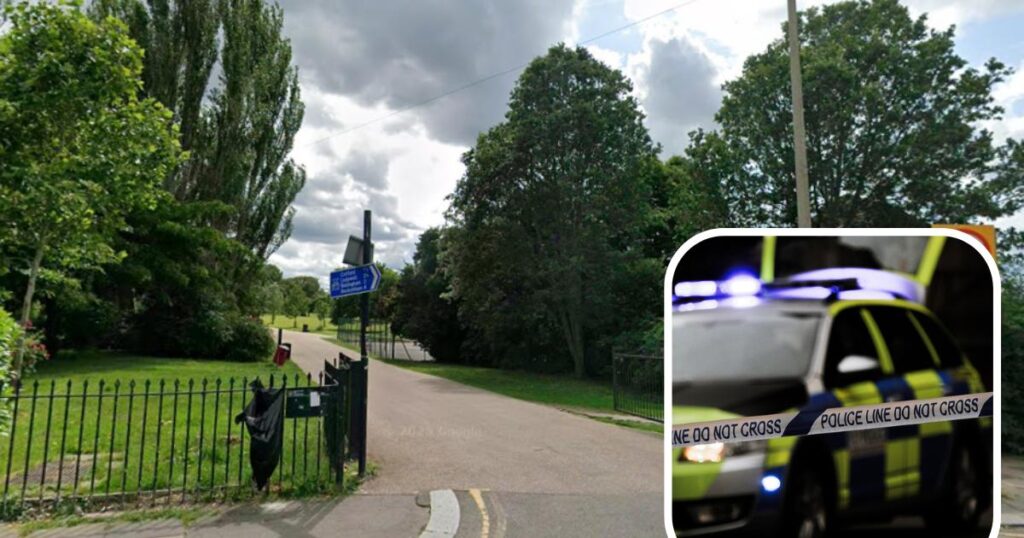 Mountsfield Park Catford assault: Police arrest man