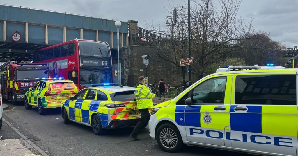 Turnham Green District and Circle line incident: Person dies