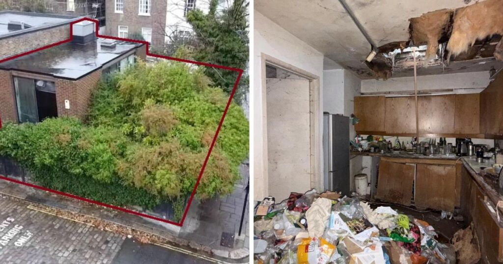Derelict ‘hazmat suit’ Camden house could fetch £1m
