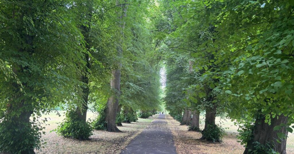 All the Green Flag Award-winning Sutton parks in 2025