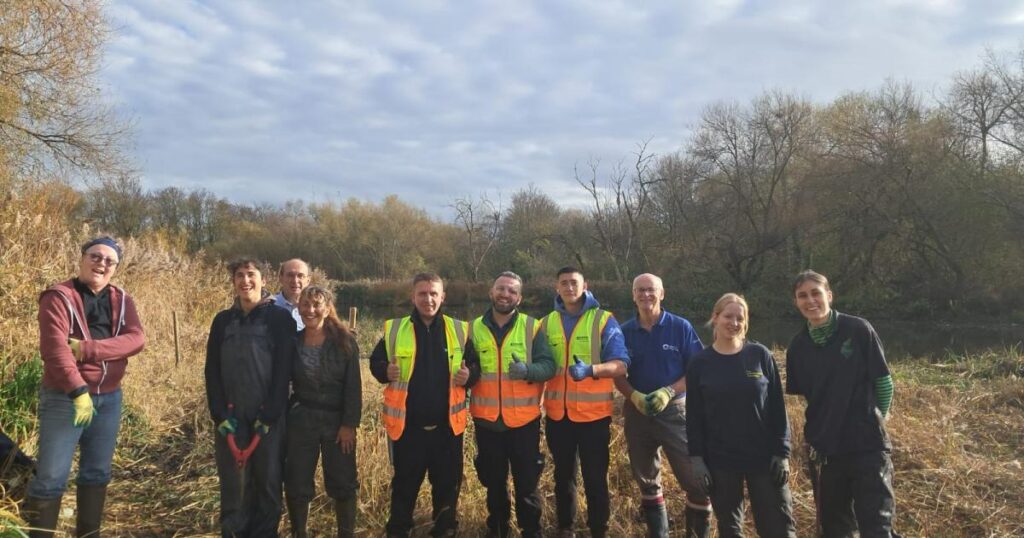 Welsh Harp conservation scheme aims to save rare birds
