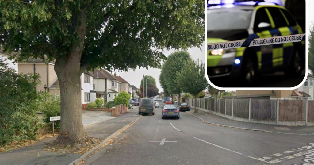 Fernbank Avenue Hornchurch stabbing: Boy in hospital