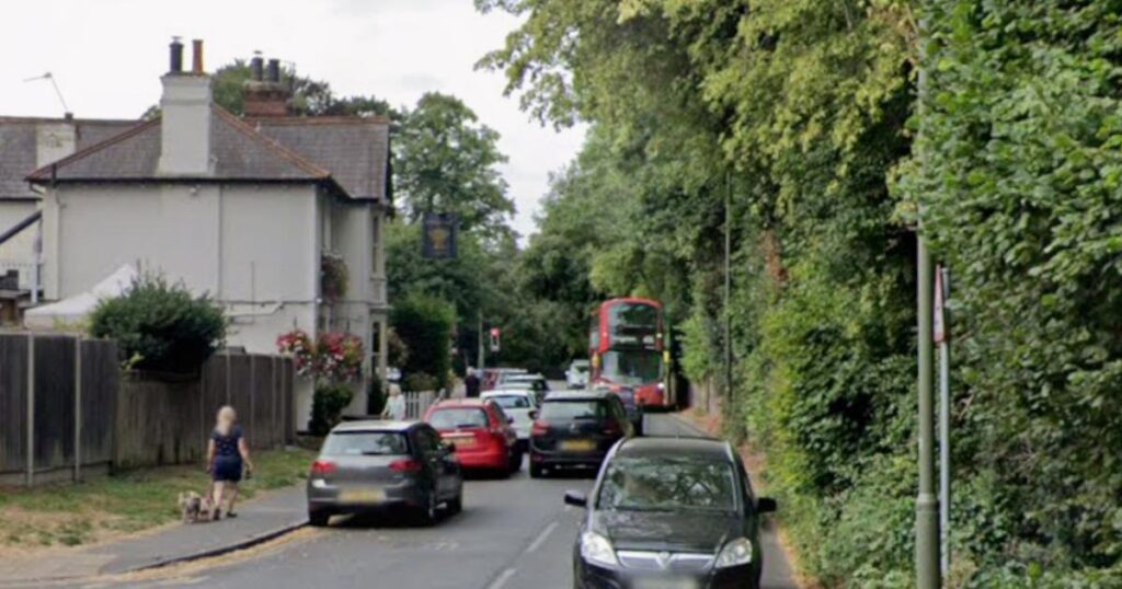 The Wheatsheaf Ewell: Man dies after stabbing near pub
