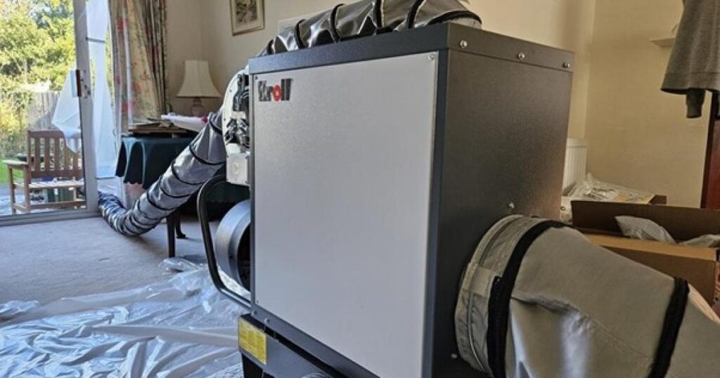 London ThermoPest calls for higher standards in bed bug control