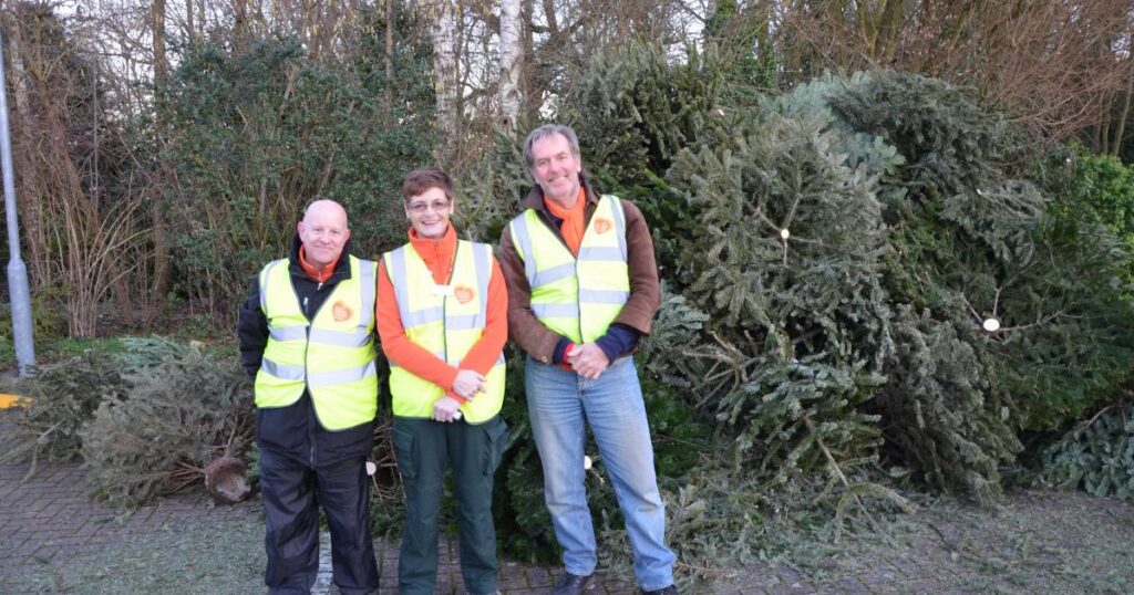 Saint Francis Hospice Christmas tree collection in 2026