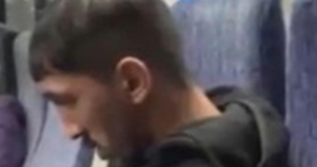 Victoria station to Denmark Hill train sexual assault