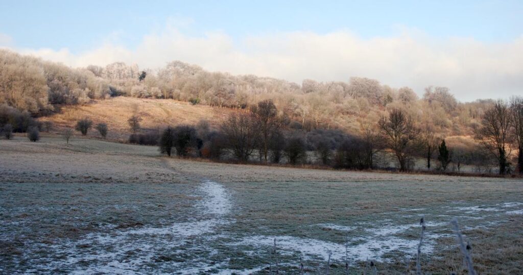 Banstead Woods Surrey: The woodland with a Naria trail