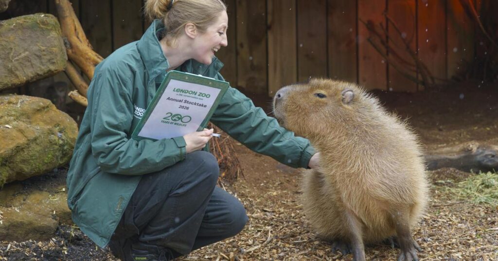 London Zoo counts 8,000 animals in annual ‘stocktake’