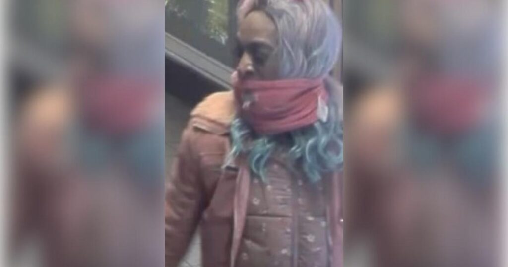 Earl’s Court station robbery – police searching for woman