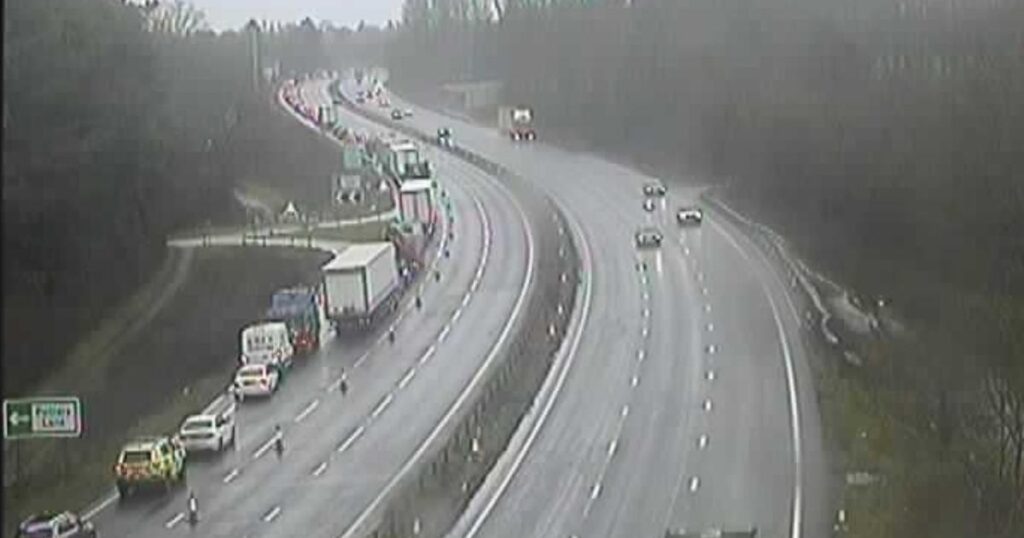A3 London-bound in Surrey shut after horses killed in crash