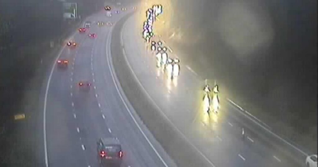 A3 Ripley crash kills three horses with ‘delays to drivers’